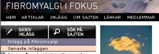 ifokus_meny.JPG