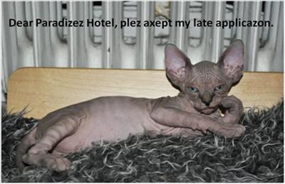 paradize hotel.jpg