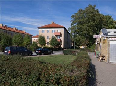 Hille1.jpg