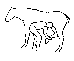 15.gif