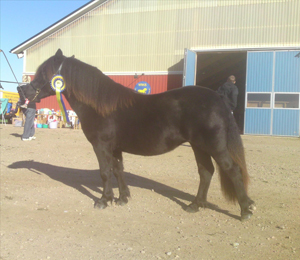 einda090919.JPG