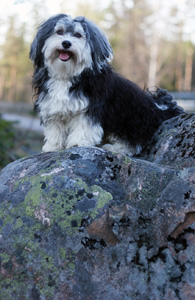 Bild 5.jpg