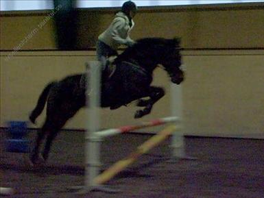 L00ttz och Excellent Charm hoppar. 