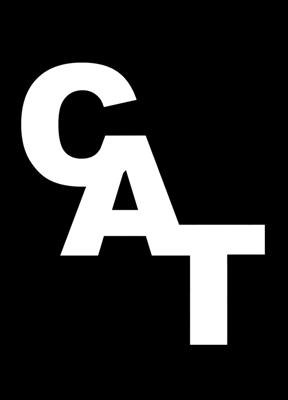 CAT2.jpg
