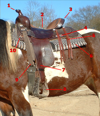 Sv_western_saddle_parts.png