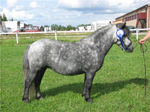 Pippi Riks09.jpg