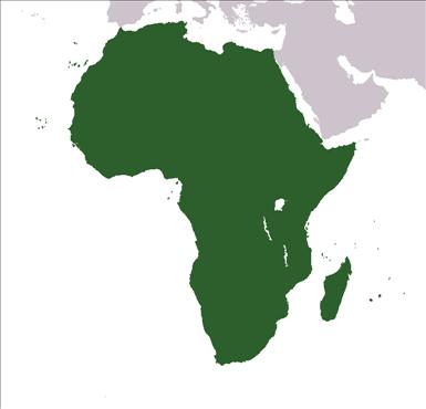 Africa.jpg