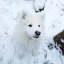 sharon.plotzki@hotmail.com