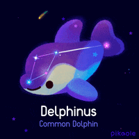 KosmiskDelfin