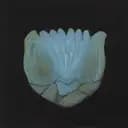 Sonja B. Strömkvist