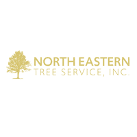 NorthEasternTree