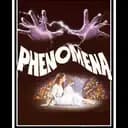 Phenomena