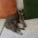 LOffy