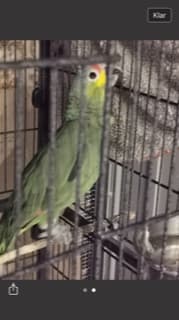 Aniwah71