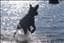 LiLi
