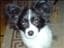 oliviaa_