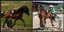 DPTK