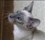 Nathalie_