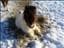 Holly_86