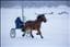 RisarvensMelker