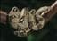 snakeking