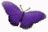 Mithera