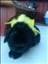 LinaW-