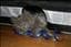 hanna_80