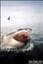 ocean_deep