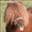 Malin_O
