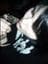 Slempropp