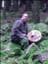 Sejdman