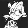 Duiker