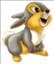 Thumper-KG