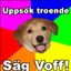 VoF-Markus