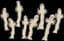spirealis