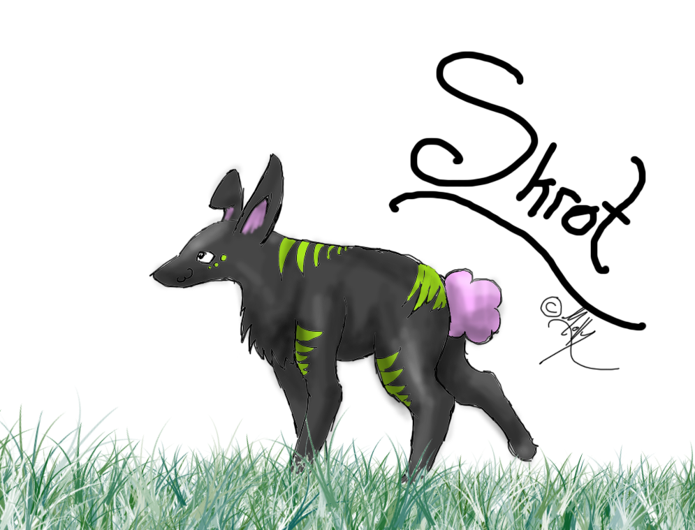Zzleepwalker