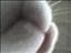 eveliina_