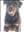 Rottweilern