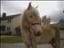 Ingvildb