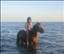 Marster