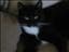 _Therese_