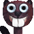 inzor