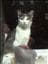 Malou77