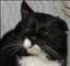 Kusten-