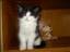 Marie_F