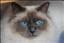 Matilda_Mimmi