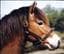 Beautypersson