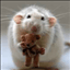 Ratica