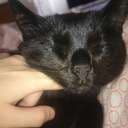 Mindie